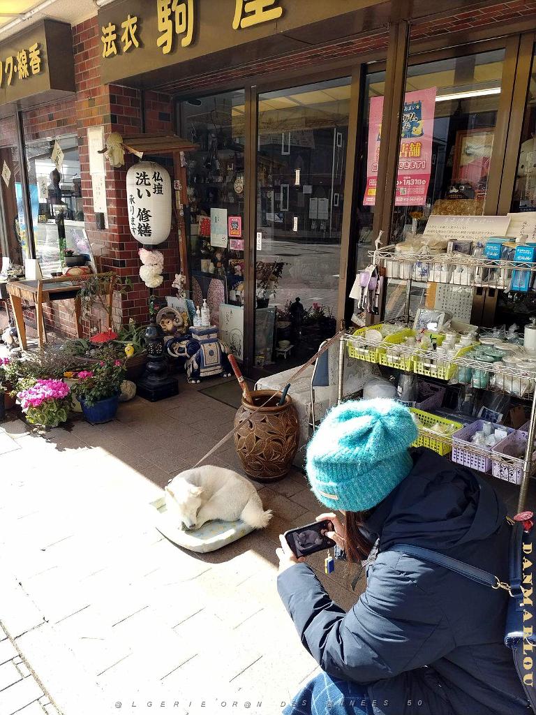 NAGOYA - Quartier Kakuozan - 25.01.2024 -05.jpg